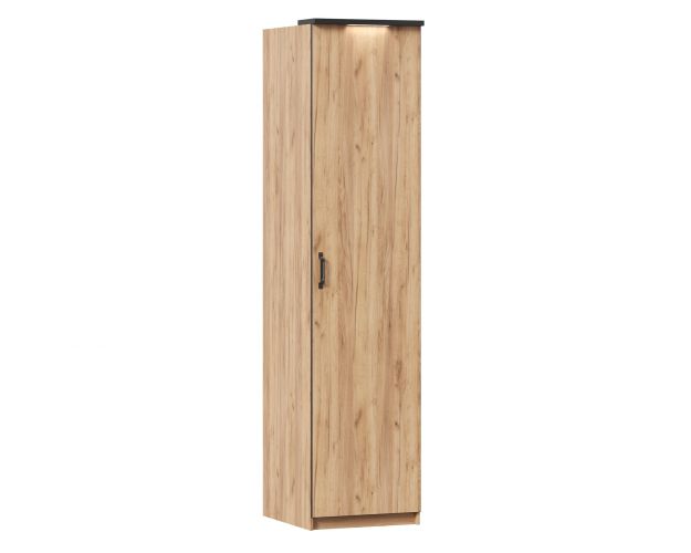 Техно ЛД 678.151.000.004 Шкаф одностворчатый (Дуб золотой)